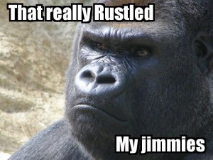 That really rustled my jimmies